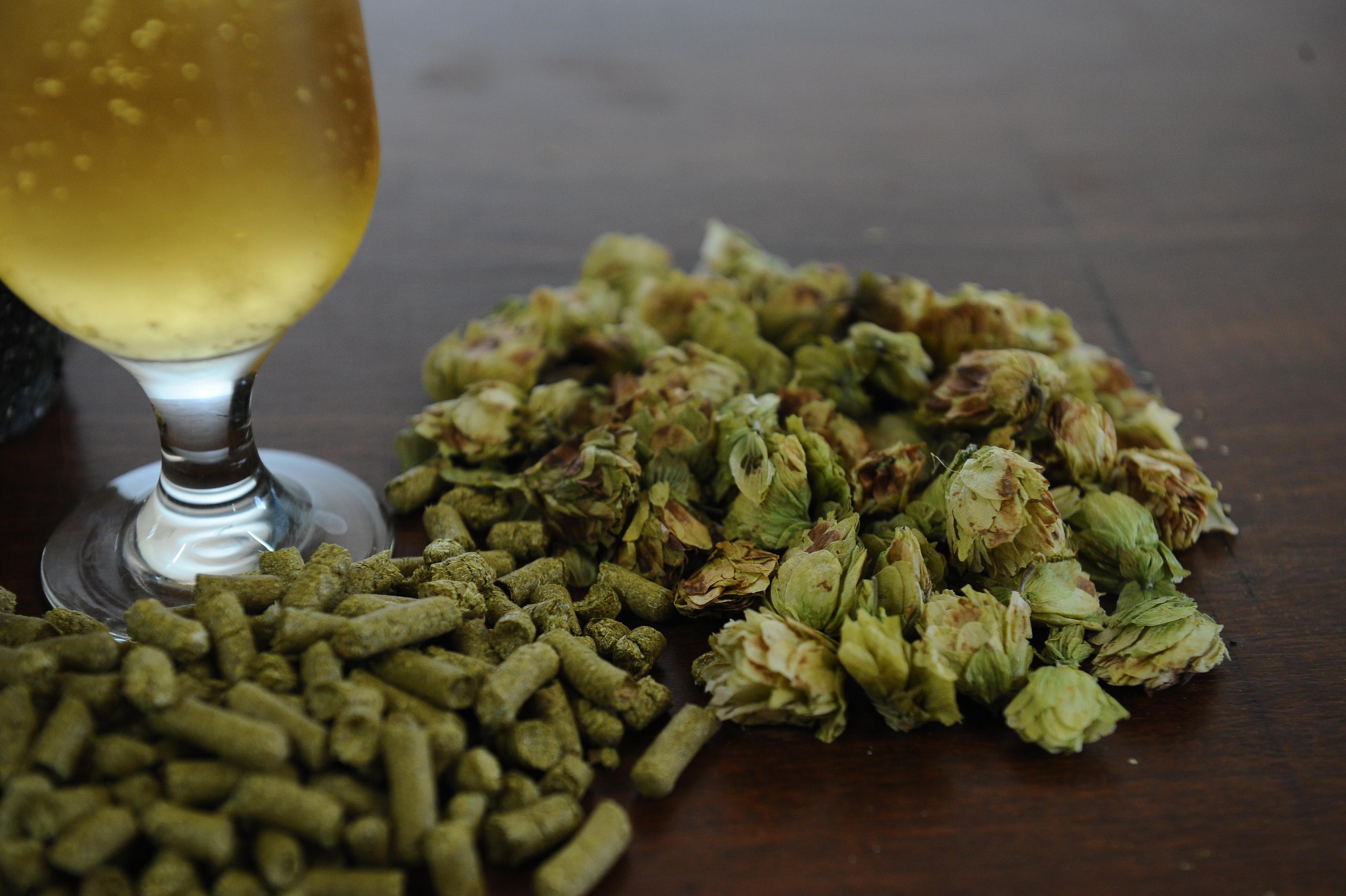 De medicamento para diabetes a l&uacute;pulo para cerveja: governo zera tarifa de importa&ccedil;&atilde;o para quase mil produtos