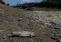 FOTOS: entenda o fenômeno das ''terras caídas'', que deixou mais de 200 desabrigados no Amazonas
