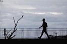 06/12/2023 - PORTO ALEGRE, RS, BRASIL - Amanhecer na Capital tem tempo firme, mas com sol entre muitas nuvens. FOTO: LAURO ALVES, AGÊNCIA RBS<!-- NICAID(15617695) -->
