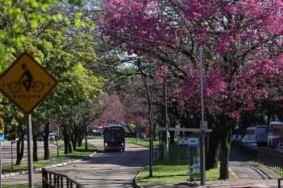 Porto Alegre, RS, Brasil – A semana será marcada pelo tempo bom na capital gaúcha, com sol predominando e temperaturas agradáveis, convidando a população a aproveitar os espaços ao ar livre. Nas ruas e praças, as árvores começam a exibir as primeiras flores que antecedem a primavera, trazendo cores e delicadeza à paisagem urbana e anunciando a mudança de estação.Indexador: jeff botega<!-- NICAID(16121192) -->