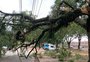 RS ainda tem 145 mil pontos sem luz em razão do temporal