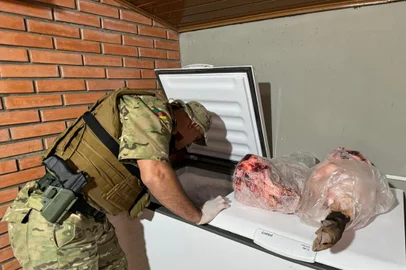 OPERAÇÃO CONTRA CAÇA ILEGAL - seis pessoas foram presas em quatro cidades do RS: Eldorado do Sul, Triunfo, Taquari e Arroio dos Ratos. <!-- NICAID(15737258) -->