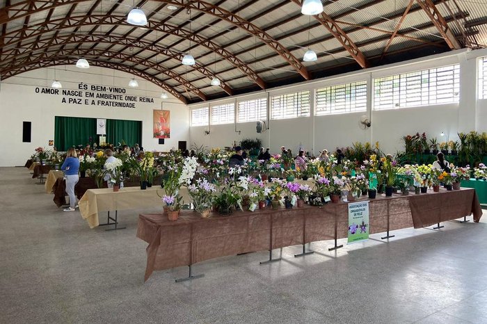 Orquidófilos de Feliz / Arquivo