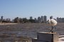 TRAMANDAÍ, RS, BRASIL, 06.11.2023: Ponte Tramandaí / Imbé. Foto: Camila Hermes/Agência RBSNa imagem, Área vista de Imbé onde há um projeto da construção de uma nova ponte entre as praias.<!-- NICAID(15589415) -->