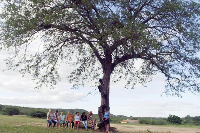 O Bem Virá / Reprodução