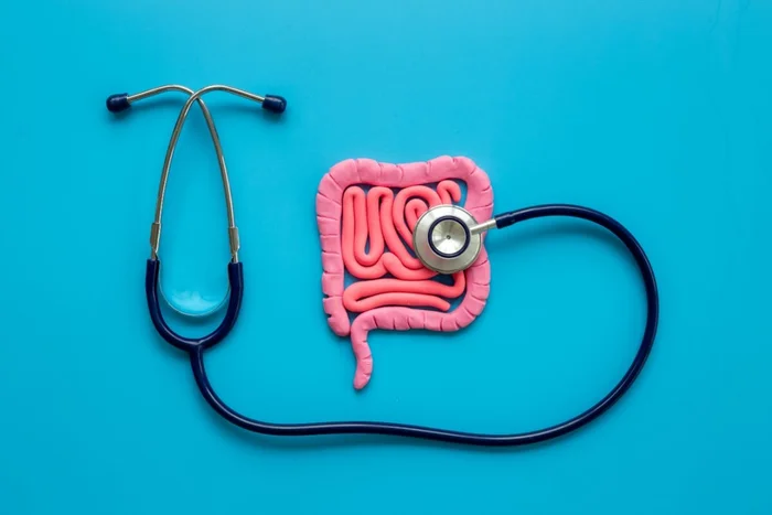 9dream studio / Shutterstock | Portal EdiCase 9dream studio / Shutterstock | Portal EdiCase