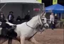 Cavalo desgovernado é controlado por menina de 12 anos na Expointer