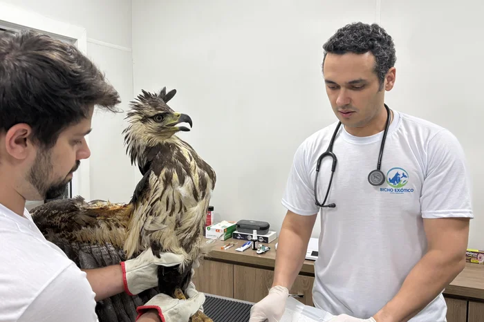 Gabriel Costa / Agencia RBS