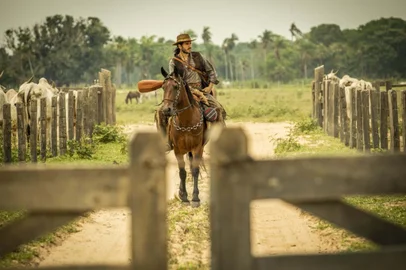 Novela pantanal<!-- NICAID(15234170) -->