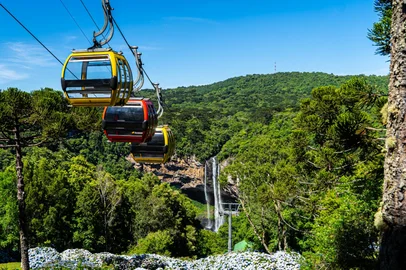 Bondinho na Região das Hortênsias ficará temporiamente inoperante para manuntenção<!-- NICAID(16224068) -->