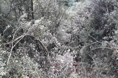 Resgate vítimas de acidente de caminhão <!-- NICAID(14737805) -->