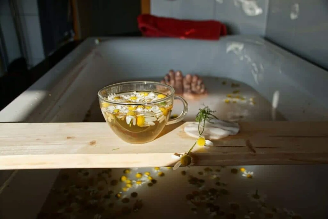 Julija Ogrodowski/Shutterstock | Portal EdiCase