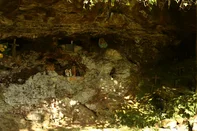 Turismóloga Guadalupe Traslatti Pante é a idealizadora do projeto Caminhadas ao Patrimônio Arqueológico de Caxias do Sul - Criúva<!-- NICAID(16018439) -->