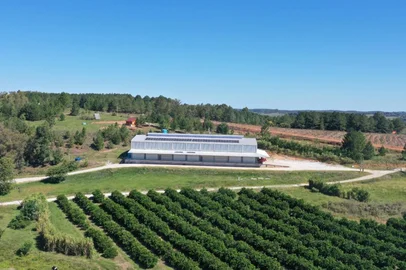 Plataforma workemp usada em porpriedade de laranjas em Santana do Livramento <!-- NICAID(16011990) -->