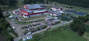 Maciel Fischer / Divulgação Languiru