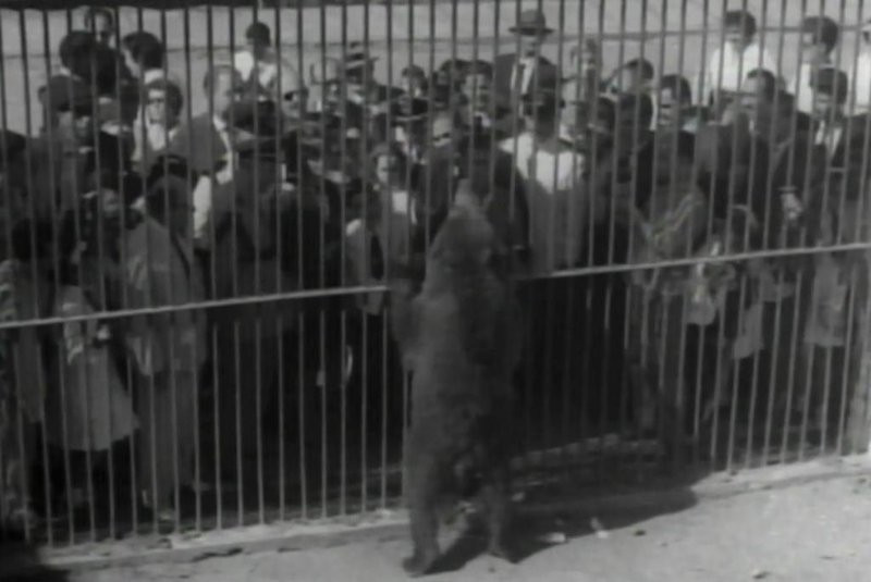 Print de filme da Leopoldis-Som sobre inauguração do zoo de Sapucaia do Sul em 1962<!-- NICAID(15410664) -->