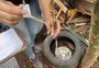 Mais de 80 cidades do norte gaúcho registram infestação de Aedes aegypti