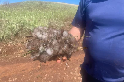 Estragos em Sarandi<!-- NICAID(16160224) -->