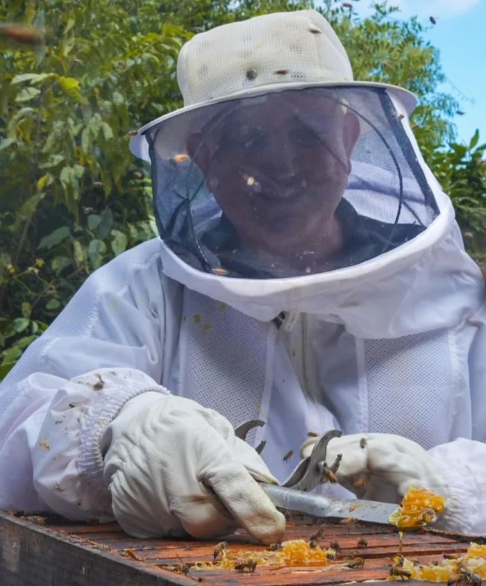 Honey Yards / Divulgação Honey Yards / Divulgação