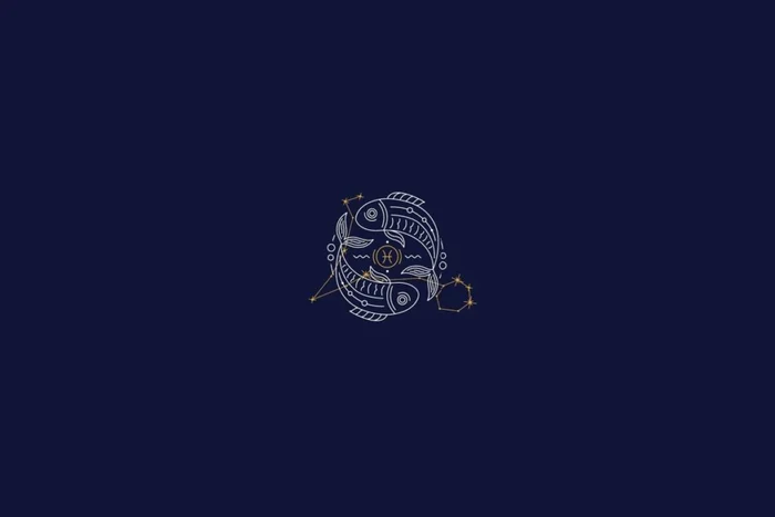 Sunflowerr / Shutterstock | Portal EdiCase