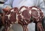 Abertura do Chile para carne bovina com osso do RS reforça expectativa por novas conquistas