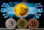Pico histórico do bitcoin alimenta interesse por criptomoedas; saiba como está o mercado no Brasil