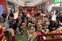 Grupo de cães Golden Retrievers se reuniu no Shopping Villagio Caxias<!-- NICAID(15303576) -->