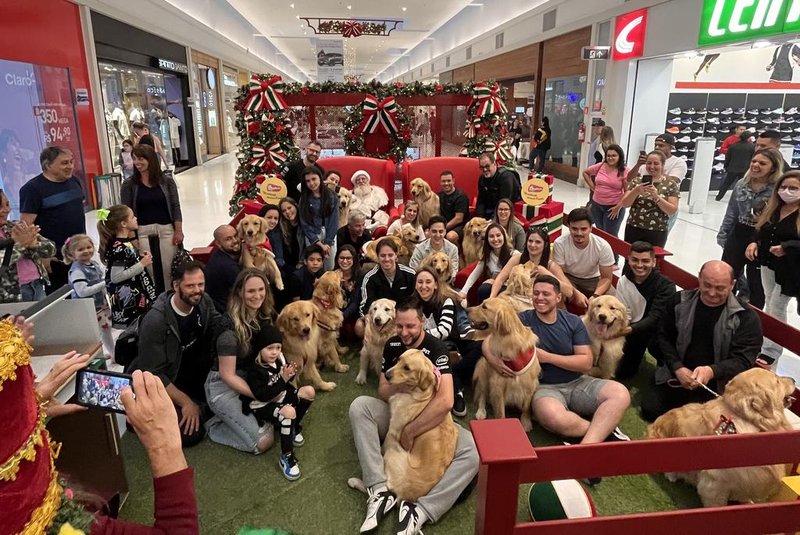 Grupo de cães Golden Retrievers se reuniu no Shopping Villagio Caxias<!-- NICAID(15303576) -->
