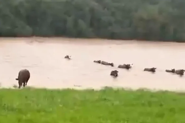 Nercílio Mendes / Arquivo Pessoal