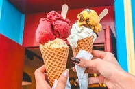 Quati Gelateria Artesanal, destemperados, gelato, sorvete, porto alegre<!-- NICAID(16207829) -->