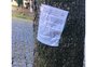 Cartaz colado em ipê envenenado "amaldiçoa" destruidor de árvore em Caxias do Sul
