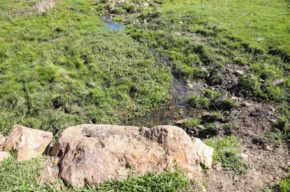 CAXIAS DO SUL, RS, BRASIL, 20/01/2026. Samae avança na implantação do projeto PSA em Caxias Do Sul. (Neimar De Cesero/Agência RBS)Indexador: Neimar De Cesero<!-- NICAID(16207164) -->