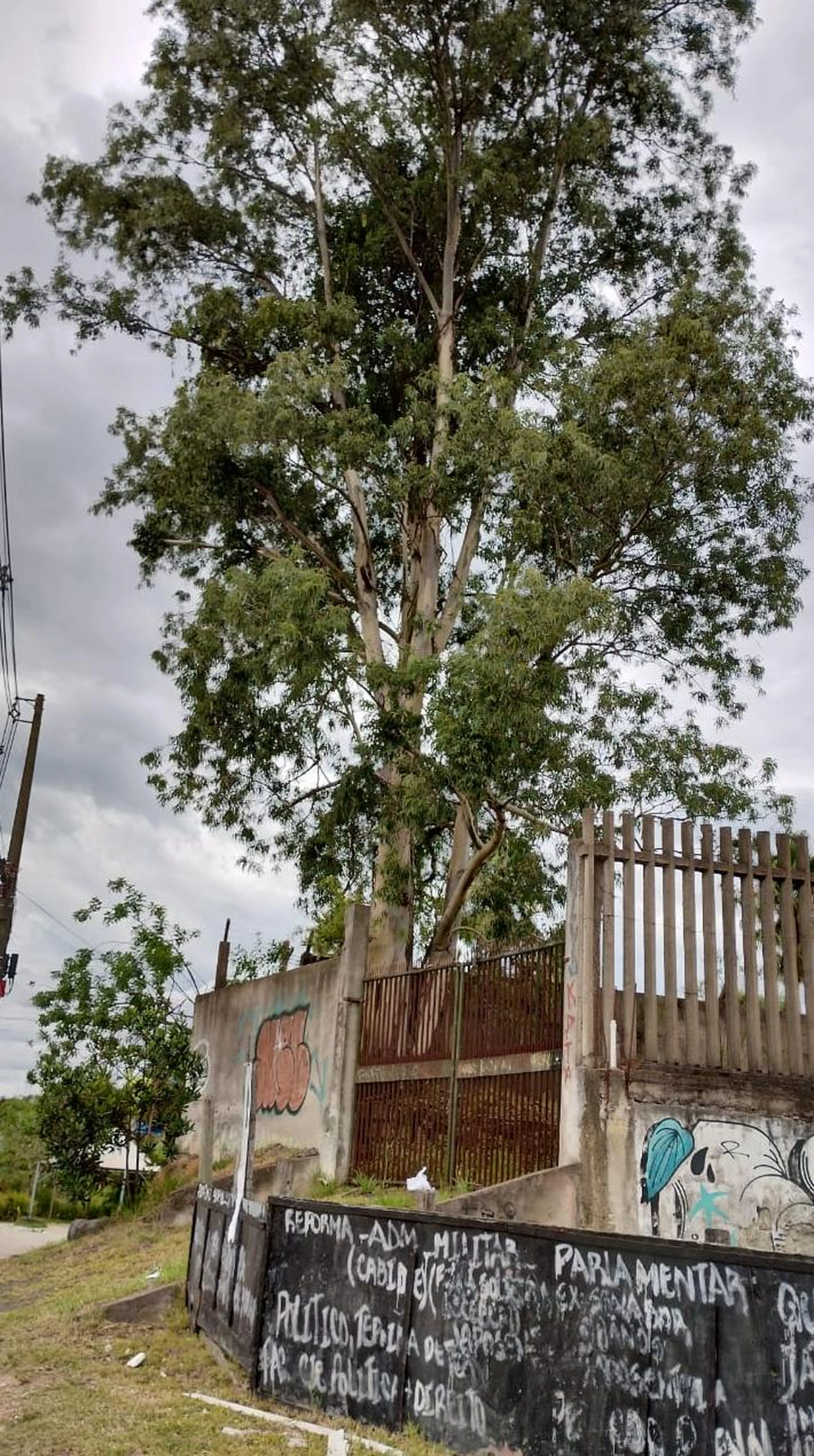 Claudemir Cheffer/Arquivo pessoal