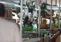 Agricultura familiar, piquete fixo com churrasco e espetáculo: conheça as novidades no Acampamento Farroupilha