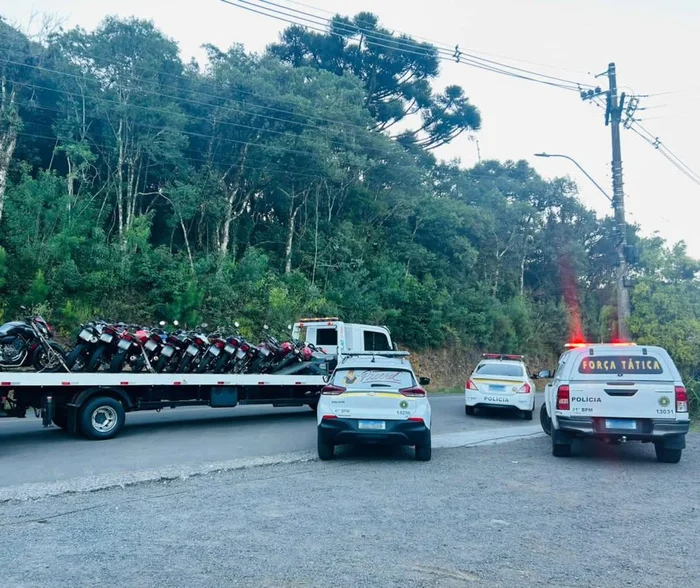 BM / divulgação BM / divulgação