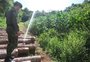 Polícia flagra mais de 8,3 hectares de desmatamento no interior do RS 