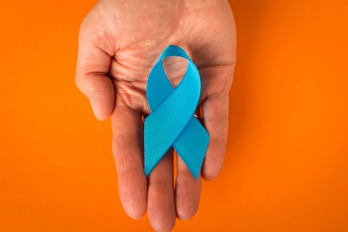 Bogdanovich_Alexander / Shutterstock | Portal EdiCase