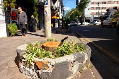 Corte de árvores na Rua Morom em Passo Fundo<!-- NICAID(16101513) -->