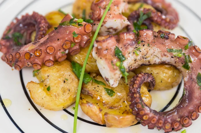 Omar Freitas / Agencia RBS