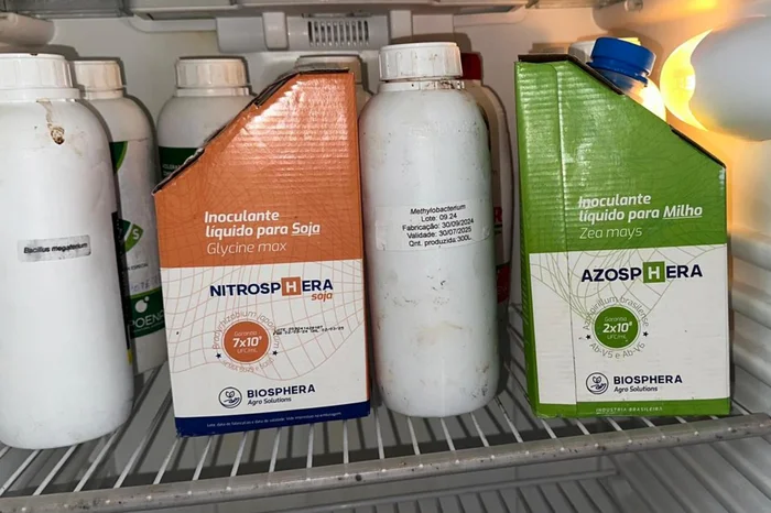 Mateus Piran / Arquivo Pessoal