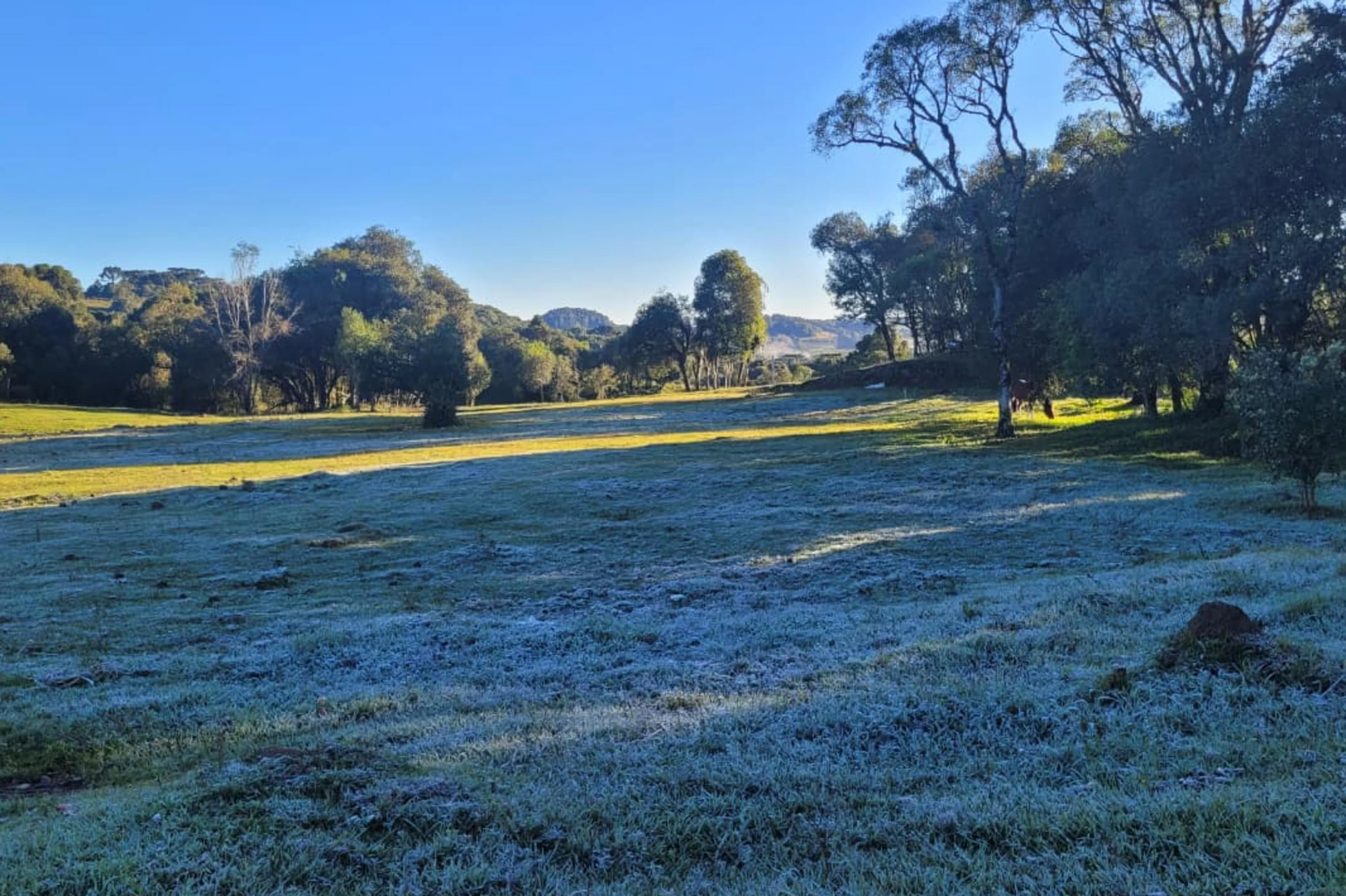 Pablo Ribeiro/Agencia RBS