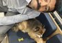 "Achei que fosse uma raposa": como Ozzy, cachorro roubado em Porto Alegre, voltou para casa