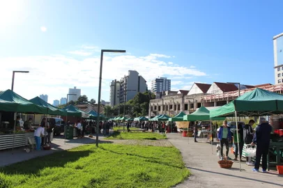 Feira ecológica de Caxias do Sul no bairro São Pelegrino<!-- NICAID(14795429) -->