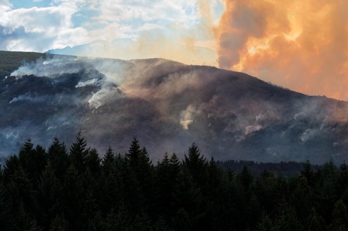 GONZALO KEOGAN / AFP GONZALO KEOGAN / AFP