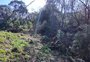 Batalhão Ambiental flagra mais de 29 mil metros quadrados desmatados no norte do RS