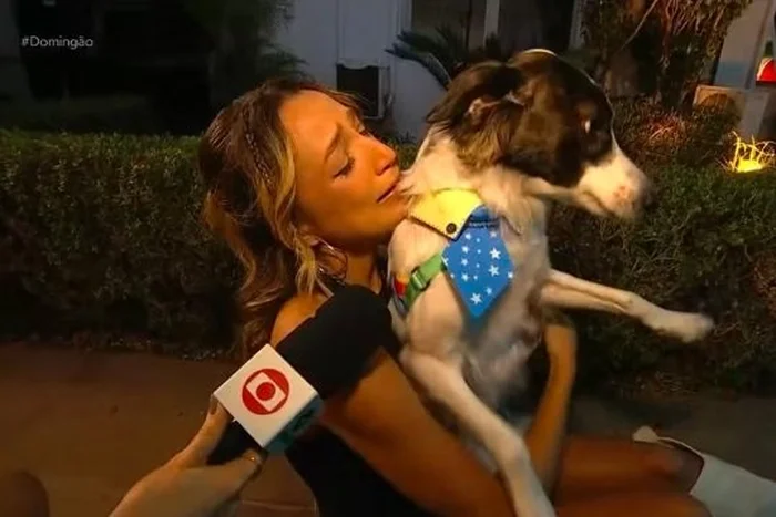 TV Globo / Reprodução
