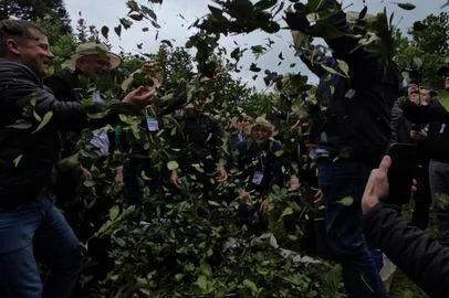 descrição: Festa da Colheita da Erva-Mate - Safra 2025 aconteceu nesta quarta-feira (28/05), em Viadutos, na propriedade da família Tochetto, na Linha São Joaquim, referência regional na produção e cultivo de erva-mate desde 1930Emater/ Divulgação<!-- NICAID(16047456) -->