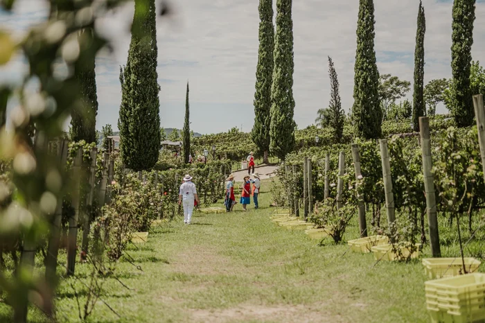 Acervo Aprovale / Divulgação