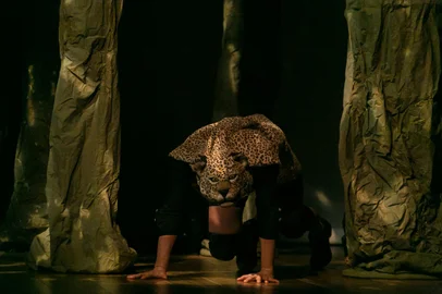 Amazônia - um olhar sobre a floresta: um espetáculo para crianças e adultos que mescla dança, teatro, música e artes visuais, para contar a história de animais que perdem seus ambientes naturais em função da destruição da natureza. A peça propõe uma reflexão sobre as consequências do desmatamento, por meio de luzes, sons, movimentos, encantamentos, bonecos e objetos que se transformam constantemente, mostrando a saga dos heróis bichos.Fotógrafo: Adriana Marchiori<!-- NICAID(15203639) -->