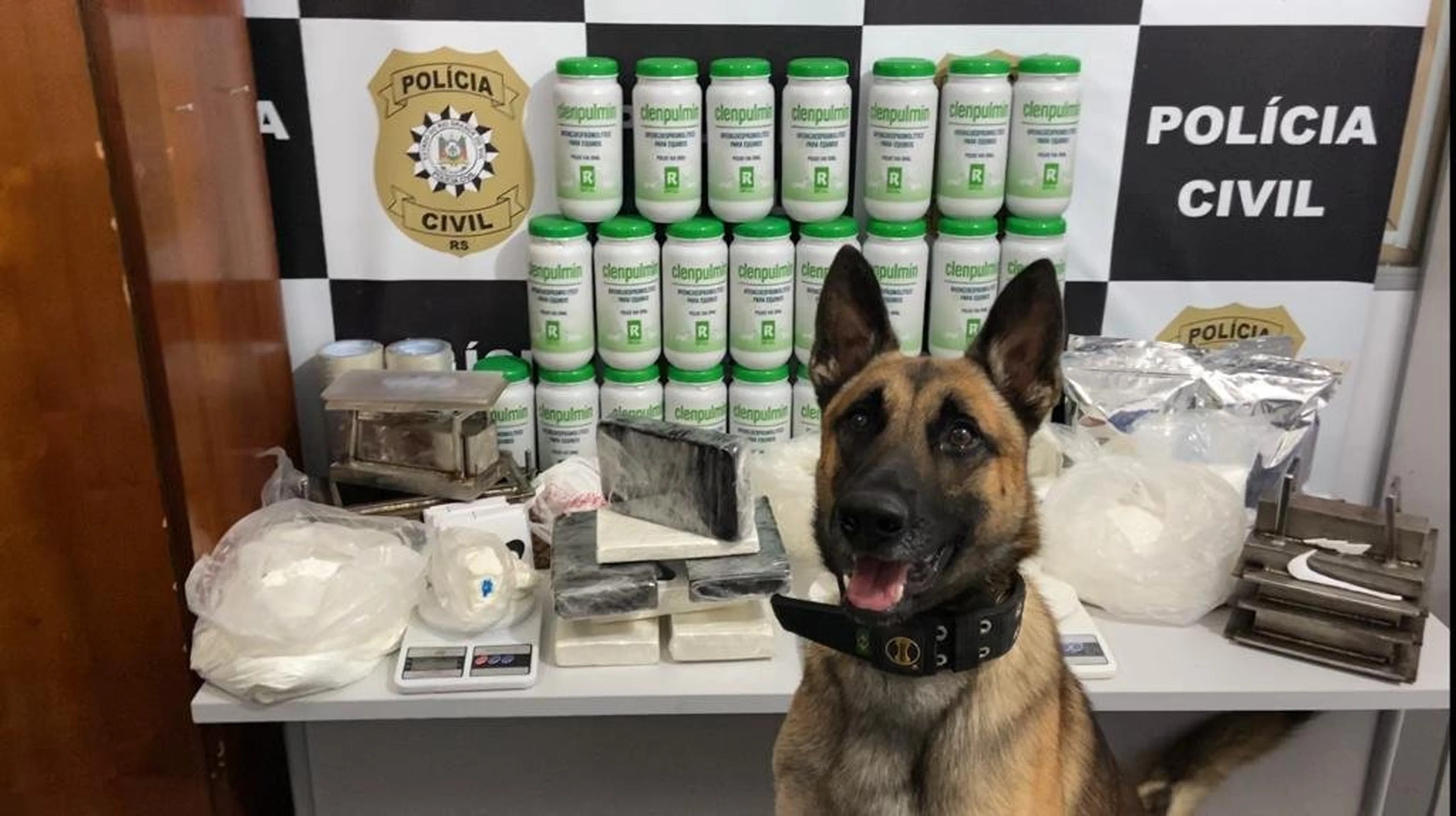 Polícia Civil/Divulgação
